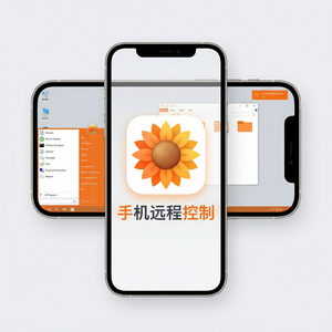 品牌 - 向日葵远程控制软件DPI缩放设置教程